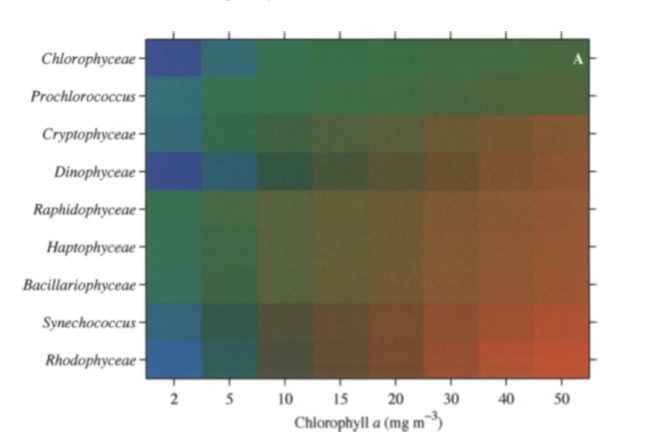 Color of the sea versus biomass